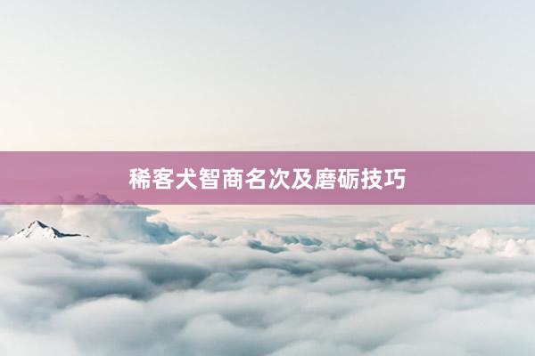 稀客犬智商名次及磨砺技巧
